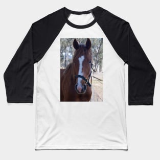 Wally - Thoroughbred Gelding Baseball T-Shirt